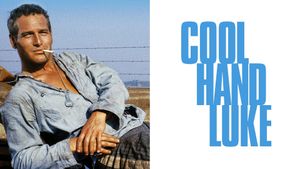 Cool Hand Luke's poster