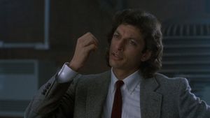 The Fly's poster