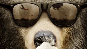 Cocaine Bear: The True Story's poster