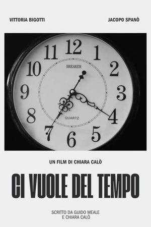 Ci vuole del tempo's poster
