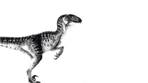 Jurassic Park's poster