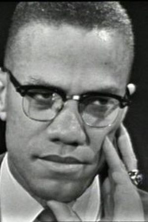 The Negro and the American Promise's poster