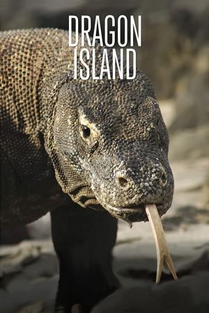 Dragon Island's poster