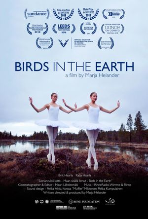 Birds in the Earth's poster