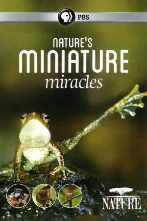 Nature's Miniature Miracles's poster