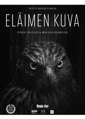 Animal Image's poster