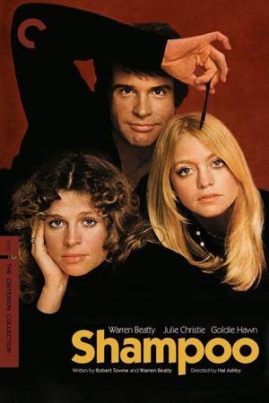 Shampoo's poster