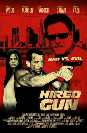 Hired Gun's poster image