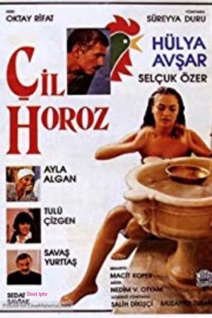 Çil Horoz's poster
