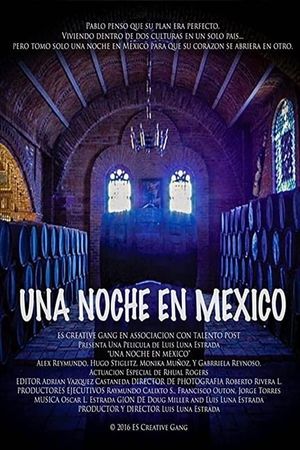 Una Noche En Mexico's poster