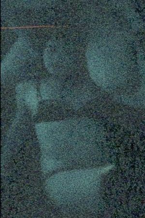 DIODEs's poster