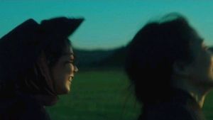The Handmaiden's poster