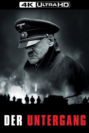 Downfall's poster