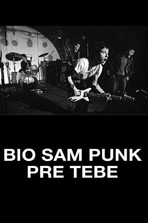 I Was a Punk Before You's poster