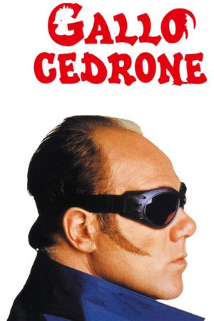 Gallo cedrone's poster