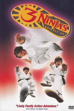 3 Ninjas: Knuckle Up's poster