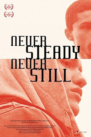 Never Steady, Never Still's poster