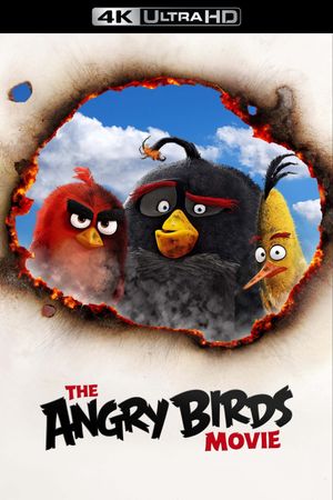 The Angry Birds Movie's poster