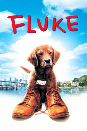 Fluke's poster