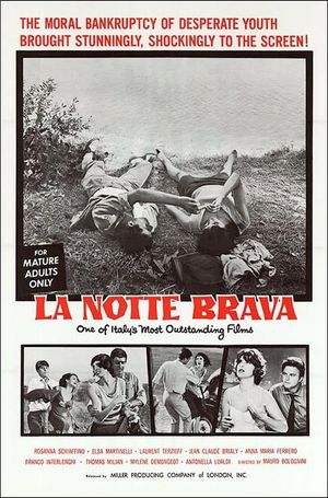The Big Night's poster