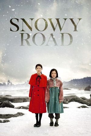 Snowy Road's poster