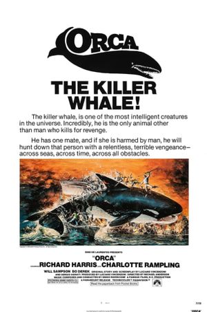 Orca's poster