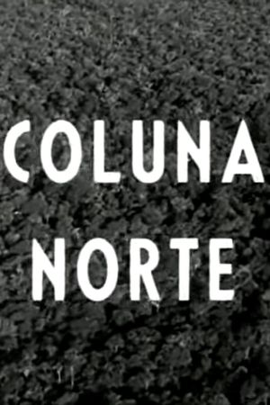 Coluna Norte's poster