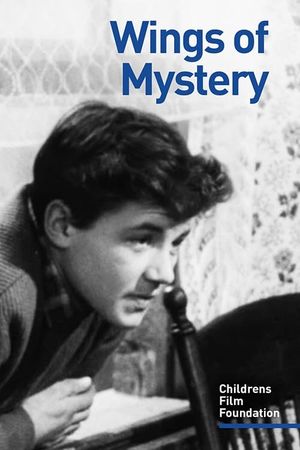 Wings of Mystery's poster