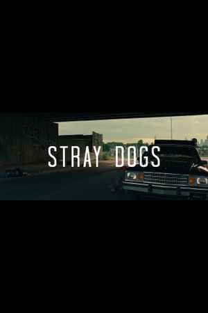 Stray Dogs's poster
