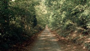 Four Roads's poster