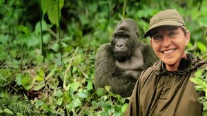 Saving the Gorillas: Ellen's Next Adventure's poster
