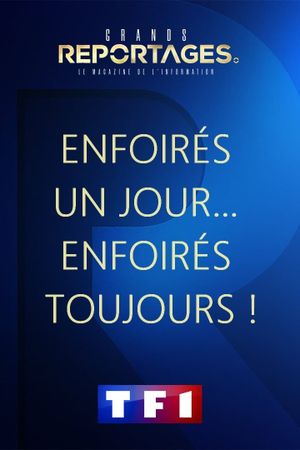 Enfoirés un Jour… Enfoirés toujours !'s poster