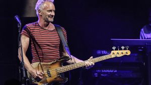 Sting: The Brand New Day Tour: Live From The Universal Amphitheatre's poster