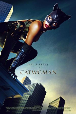 Catwoman's poster