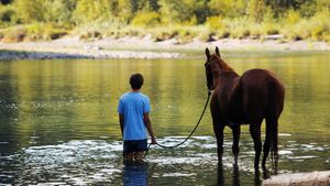 Lean on Pete's poster