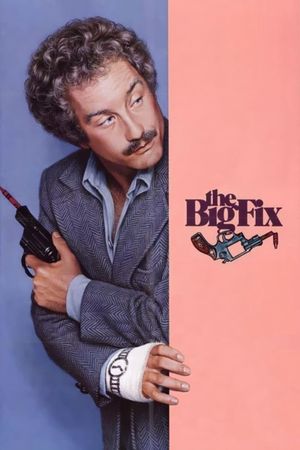 The Big Fix's poster