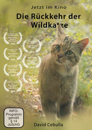 The Return of the Wildcat's poster