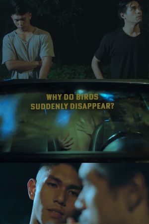 Why Do Birds Suddenly Disappear's poster