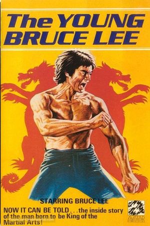 Young Bruce Lee the Birth of a Legend's poster