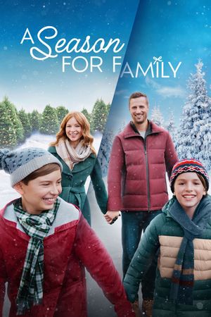 A Season for Family's poster