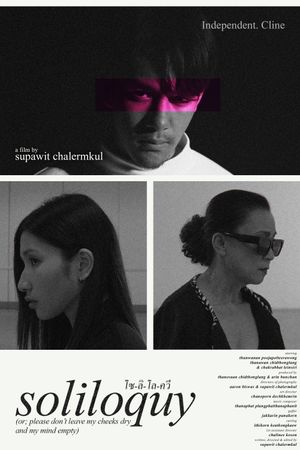 soliloquy (or; please don't leave my cheeks dry and my mind empty)'s poster
