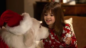 The Search for Santa Paws's poster