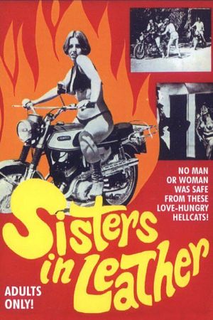 Sisters in Leather's poster