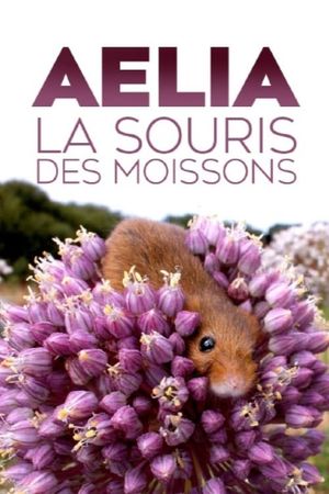 Aélia, la souris des moissons's poster