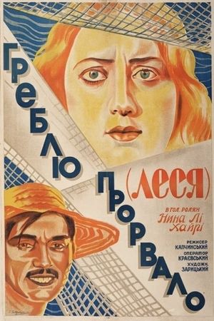 The Dam Is Broken's poster