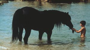 The Black Stallion's poster