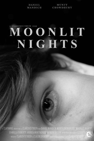 Moonlit Nights's poster