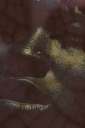 In Vivo's poster