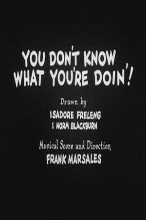 You Don't Know What You're Doin'!'s poster