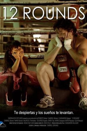 12 Rounds's poster image